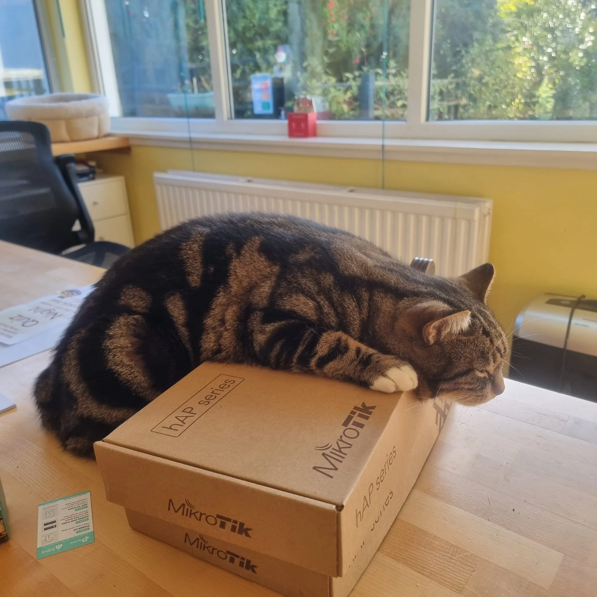The quality control expert hard at work